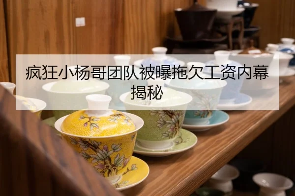 疯狂小杨哥团队被曝拖欠工资内幕揭秘
